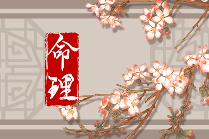 2026老黄历黄道吉日查询|老黄历2026|老黄历2026正版|2026年黄历吉日查询|黄历万年历老黄历2026|黄历2026黄道吉日